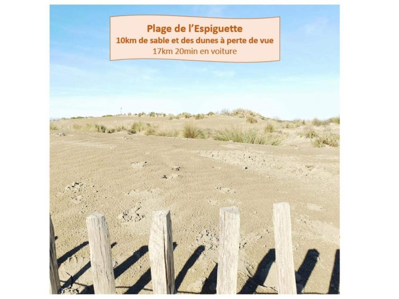 T2 Traversant Familial Cap Sud Parking Plages - Rossiconciergerie - Linge En Option ラ・グランド・モット エクステリア 写真